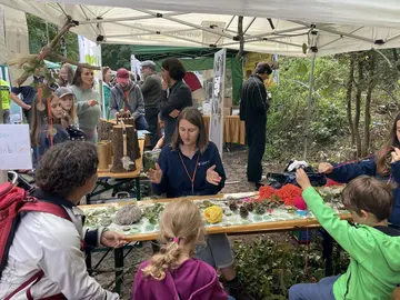 Bastelaktion mit Zapfen am Stand des Amts für Umwelt, Ordnung und Verbraucherschutz 2022