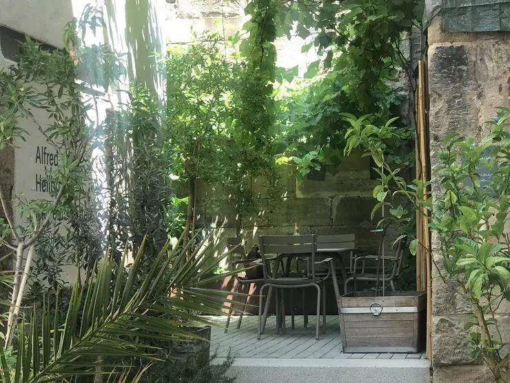 Blick in den Alfred Heilbronn Museumsgarten