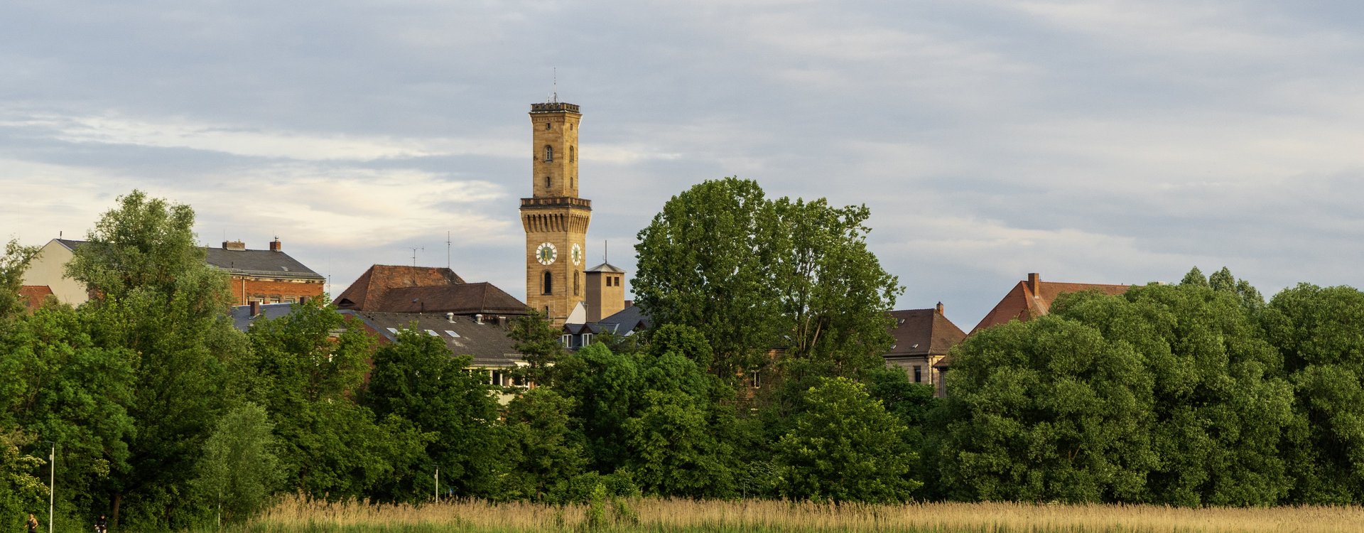 Rathaus mit Blick vom Wiesengrund Wiesengrund mit Blumenwiese im Vordergrund und das Rathaus im Hintergrund