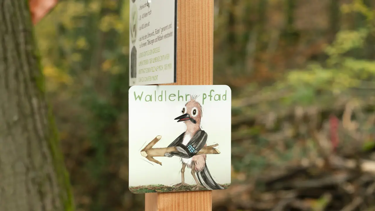 Wegweiser zum Waldlehrpfad