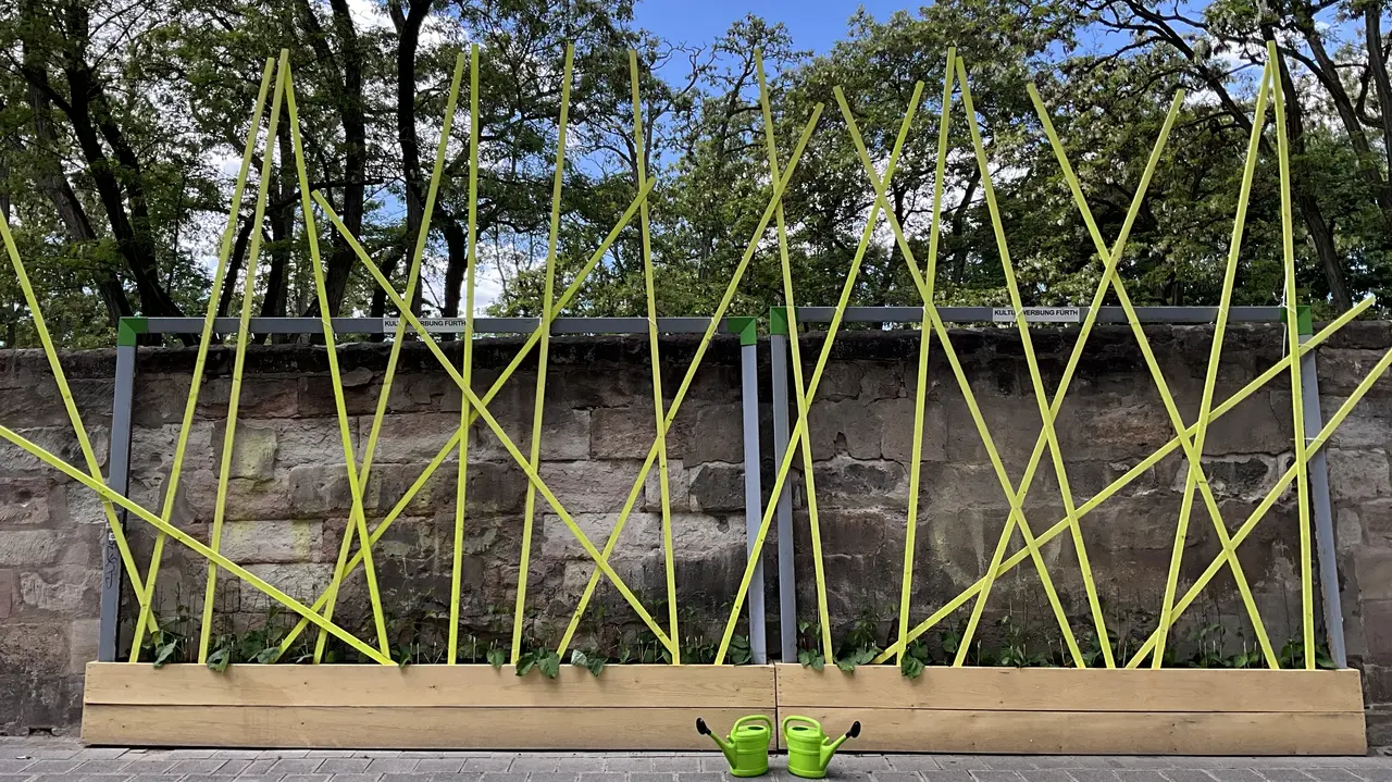 Freiluftgalerie 2025 René Martin Arrangierte Stangen an denen Bohnen wachsen vor einer Sandsteinmauer
