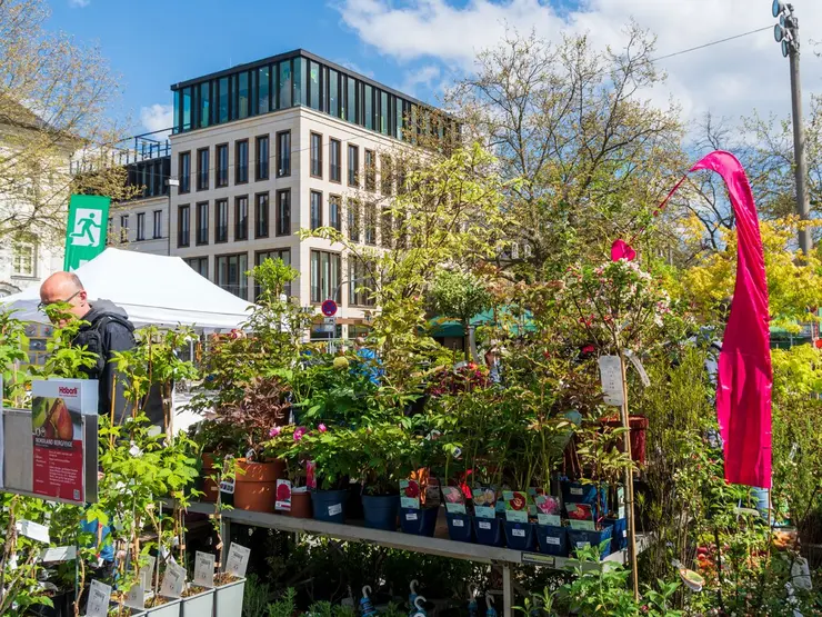 Ein Stand mit Pflanzen auf dem Gartenmarkt.
