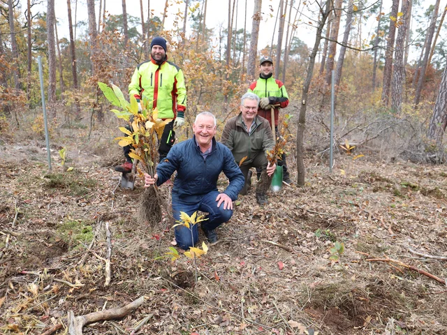Genannte Personen im Wald. Klick öffnet die Meldung.