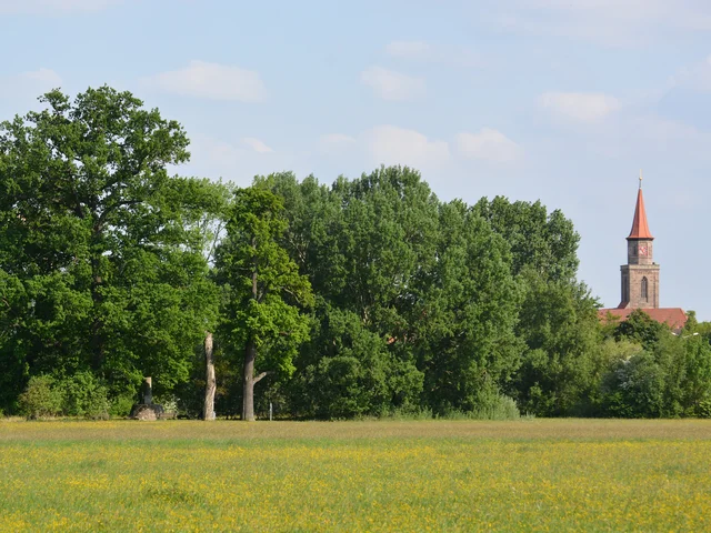 Naturdenkmal Kapellenruh, im Hintergrund Kirche St. Michael Klick öffnet die Meldung.
