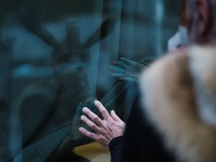 Eine Person streckt ihre Hand gegen eine Glasoberfläche, während ihre Reflexion auf dem Glas sichtbar ist. Der Fokus liegt auf der Hand der Person und der verschwommenen Umgebung im Hintergrund.