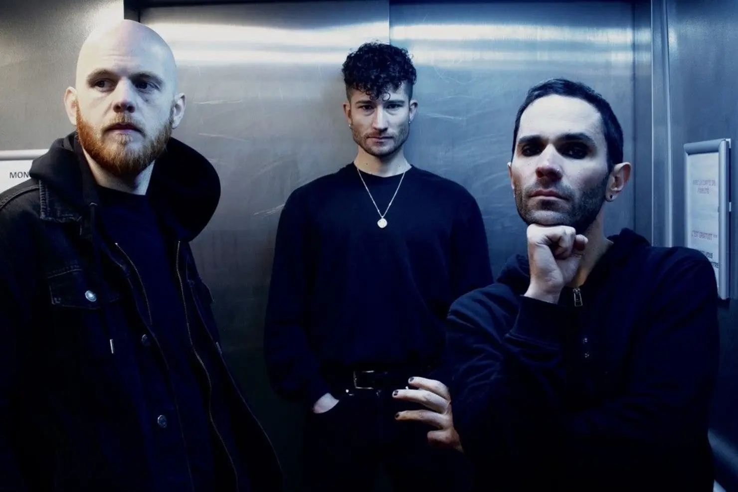 Bandfoto Diamond Dog