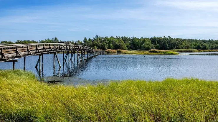 Eine Brücke spannt sich über einen Fluss, rundrum grüne Wiese