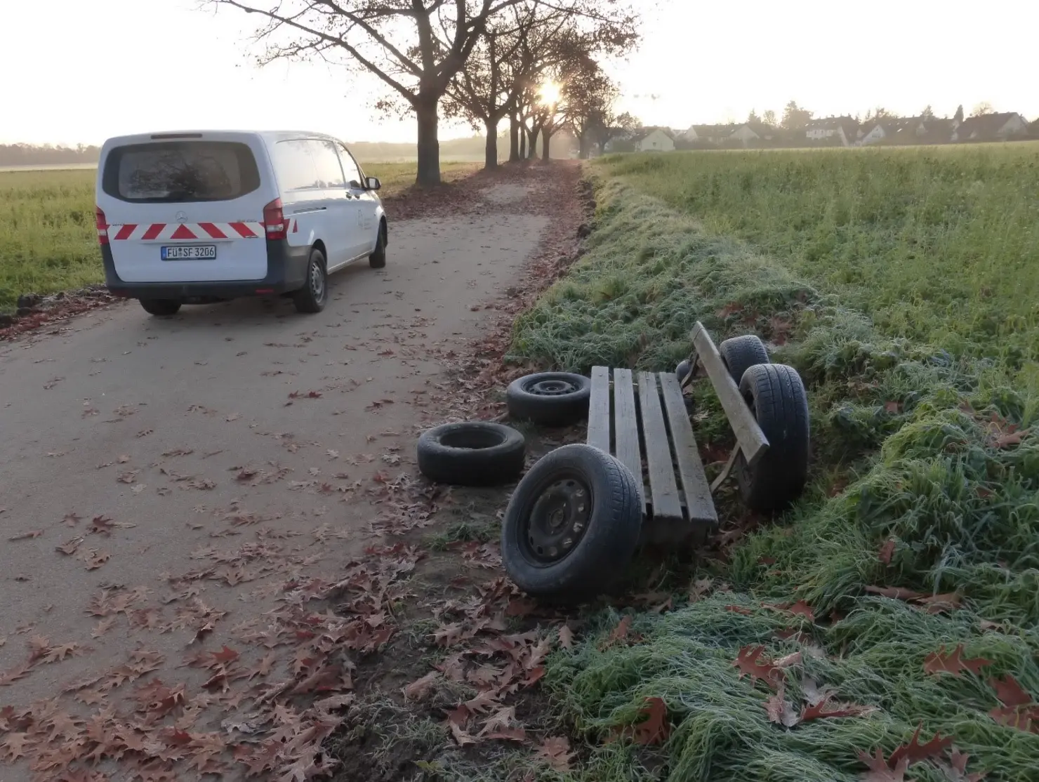 Autoreifen an einer Parkband in einer Allee abgelegt, daneben PKW des Ordnungsdamts