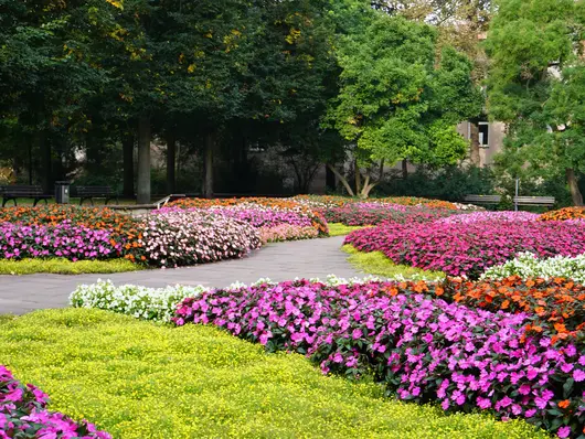 Bunte Blumenbeete in schachbrettartiger Anordnung