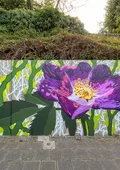 "Um dieser"Rose Willen" ist der Titel des Werkes von Guy Palumbo, das eine violette Rose an einer etwa ein Meter hohen Betonwand zeigt. 