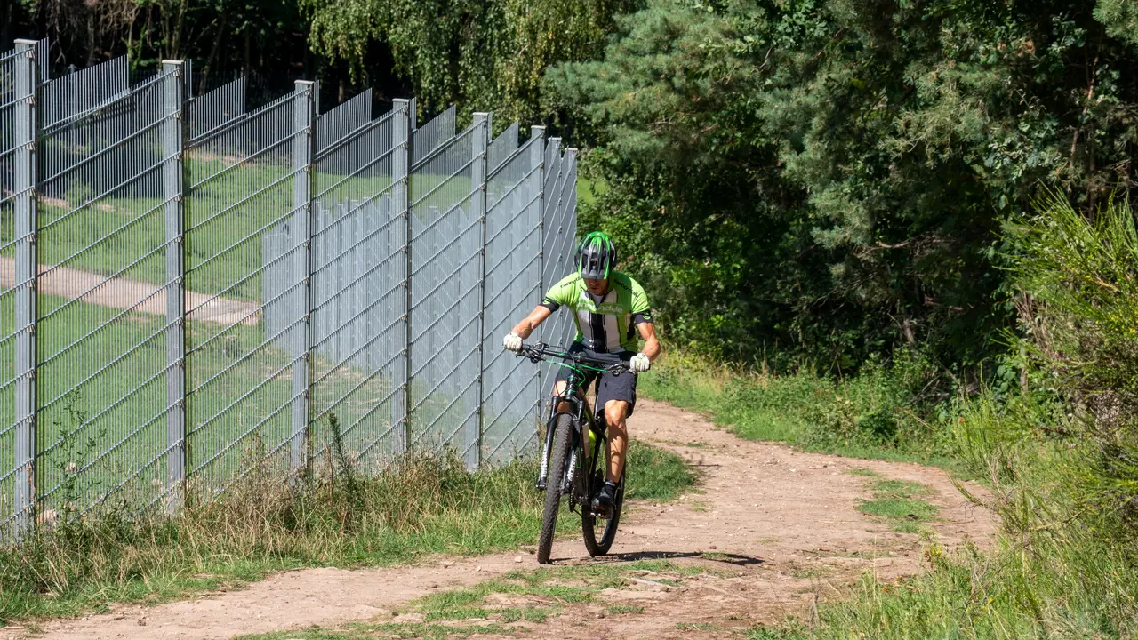 Mountainbiker mit Helm fährt Weg bergauf, Rotwildgehege links neben ihm