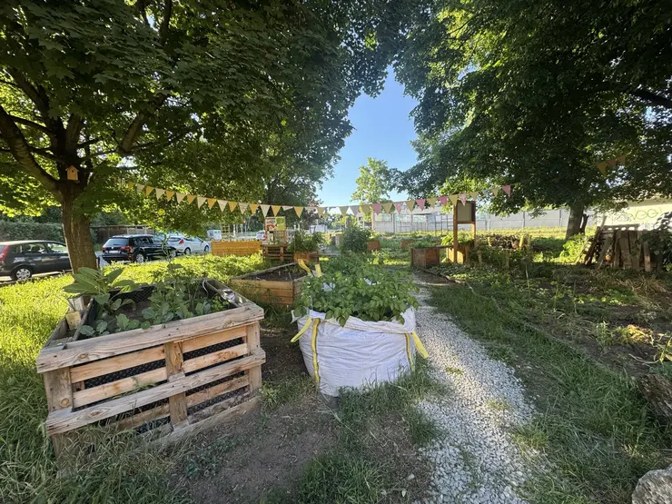 Blick in das Altstadtgärtla mit Staudenbeeten rechts und Hochbeeten mit Gemüsepflanzen links