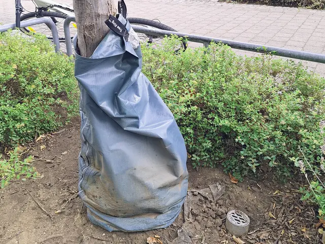 Gießsack um einen Baum gewickelt. Klick öffnet die Meldung.