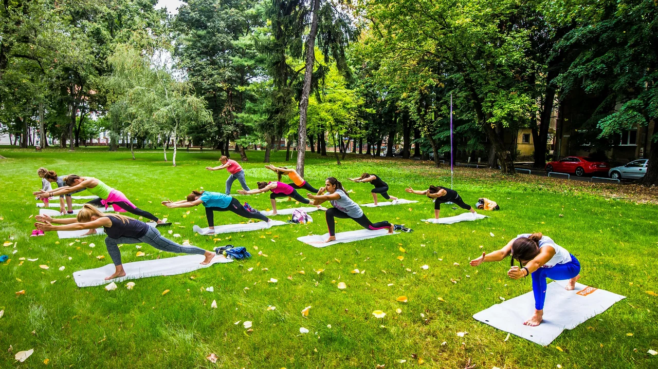 Personen machen Sportübungen auf einer Wiese