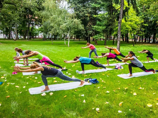 Personen machen Sportübungen auf einer Wiese