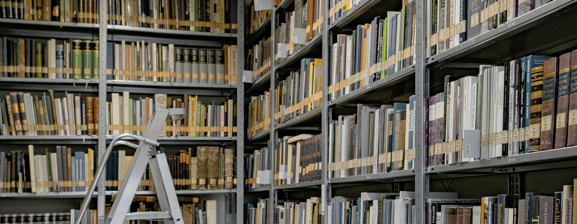 Hohe Regale voller Bücher in einem Archivraum mit einer aufgestellten Metallleiter in der Mitte.