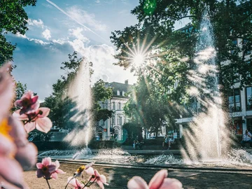 Brunnen mit mehreren Wasserfontänen in der Adenauer Anlage in Fürth, Sonnenstrahlen durch Bäume und unscharfe Blüten im Vordergrund.