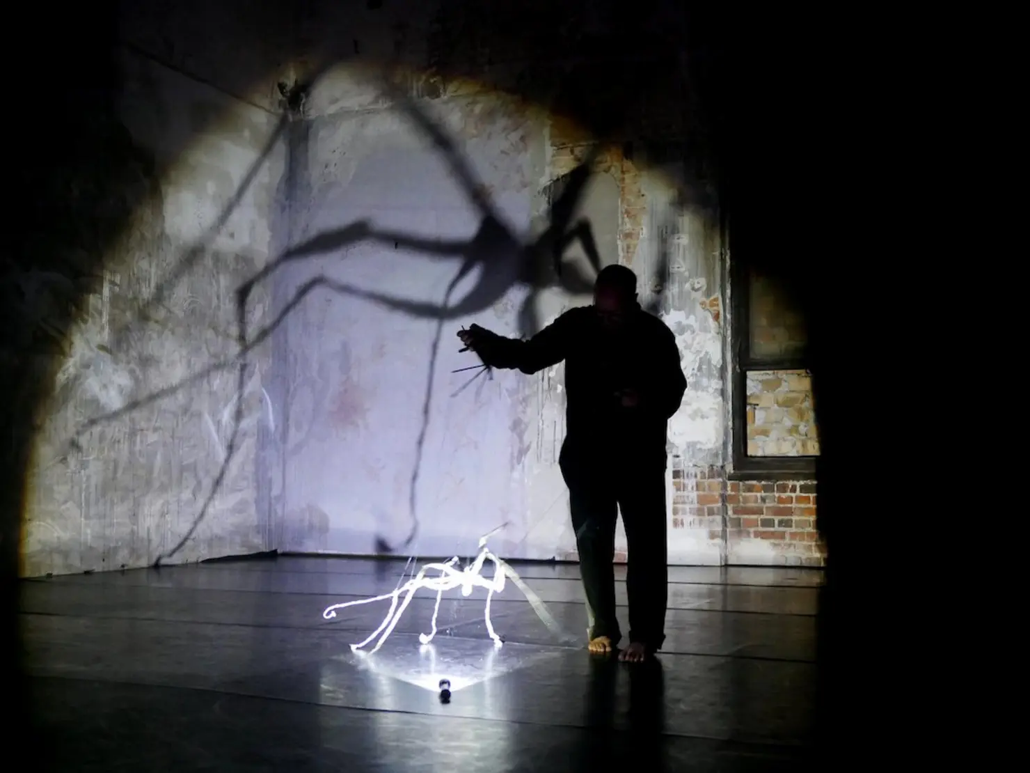 Eine Person steht in einem Raum und interagiert mit einer leuchtenden, skulpturalen Darstellung eines Tieres. Eine große Schattenprojektion auf der Wand zeigt die Silhouette einer Spinne.