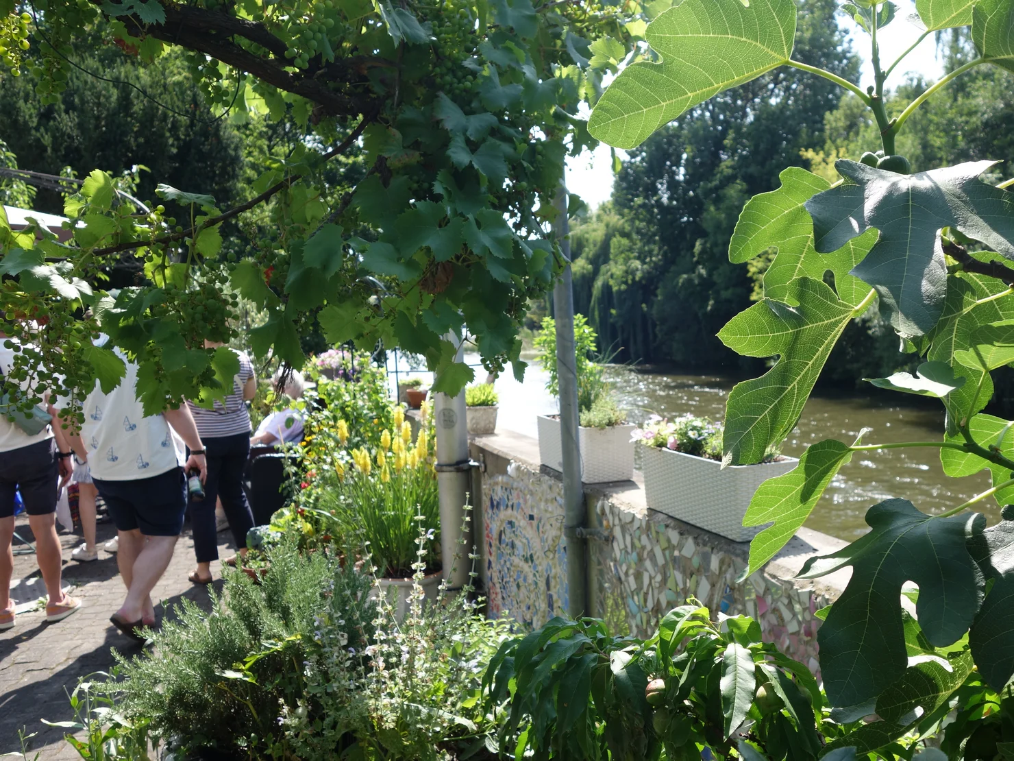 Üppig begrünter Innenhof am Fluss