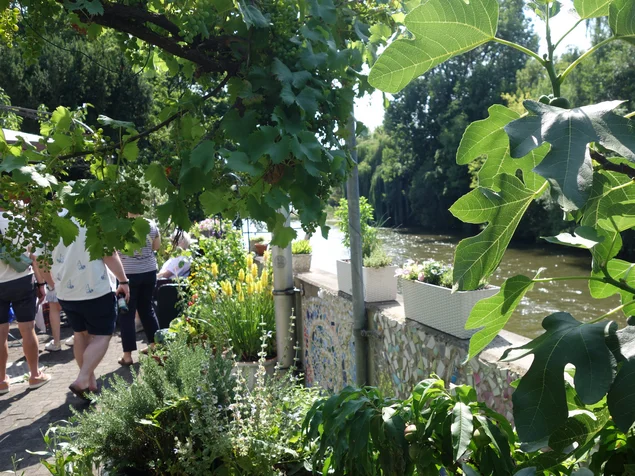 Üppig begrünter Innenhof am Fluss