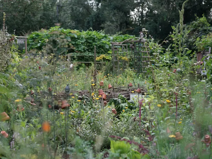 Blick in einen Garten mit blühenden Blumen; Klick öffnet Detailansicht.