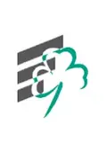 Logo Gründer Initiative Fürth