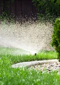 Rasensprenger bewässert Gras im Garten