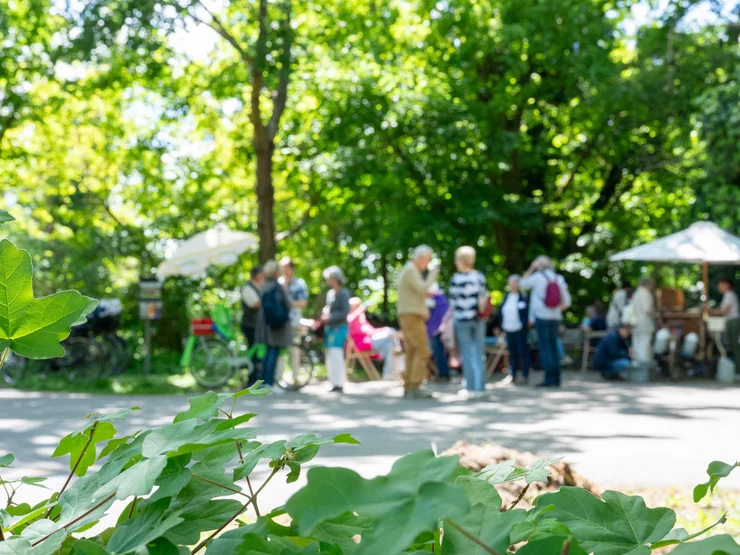 Mehrere Personen versammeln sich an einem sonnigen Tag auf einem Weg auf dem Friedhof, im Vordergrund Blätter unscharf.