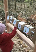 Kind dreht an Holzbausteinen mit Bildern zum Waldlehrpfad