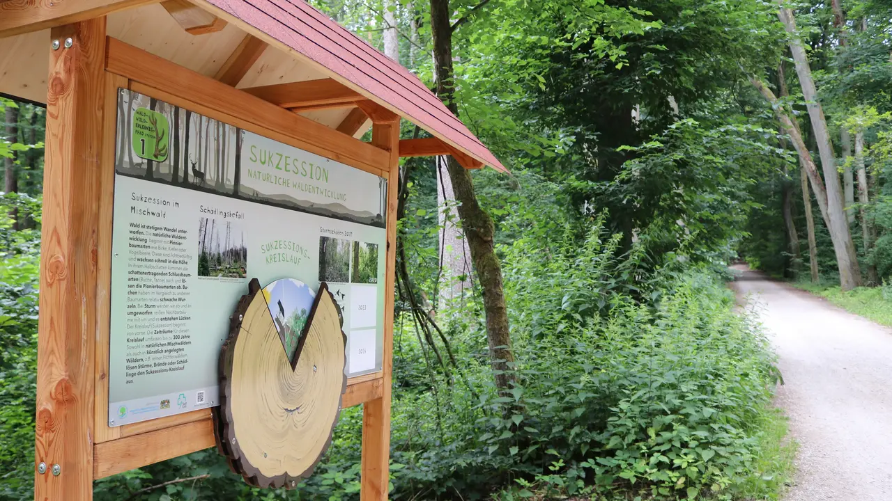 Wald-Wild-Erlebnispfad