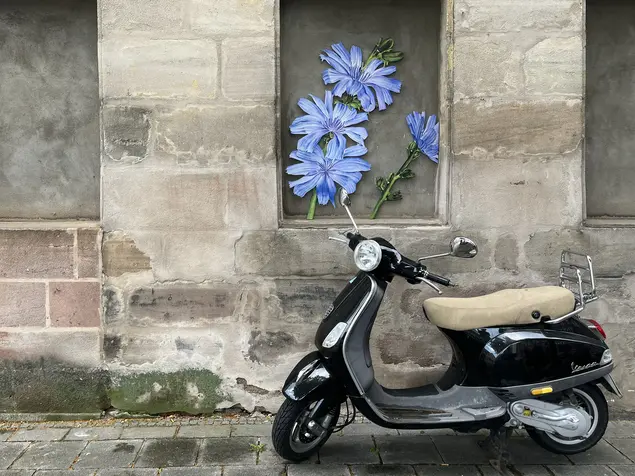Blaue Blumen in einem zugemauerten Fenster
